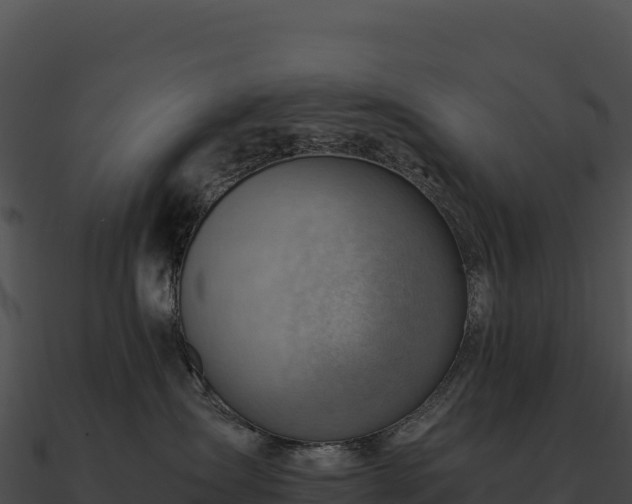 X0000090880431200708031035