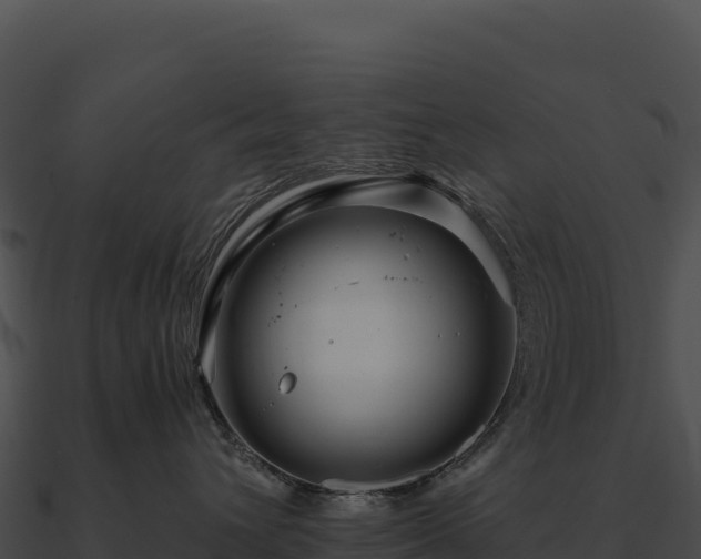 X0000090880432200708031035