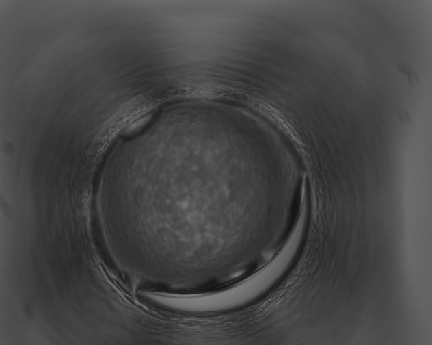 X0000090880434200708031034