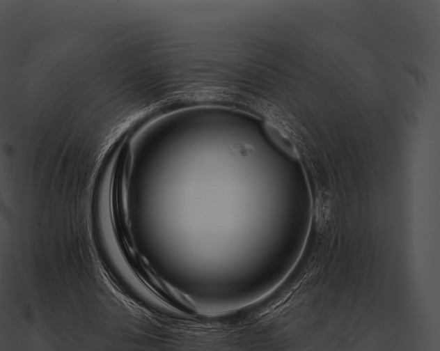 X0000090880438200708031034