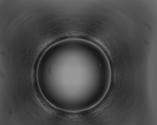 X0000090880439200708031034