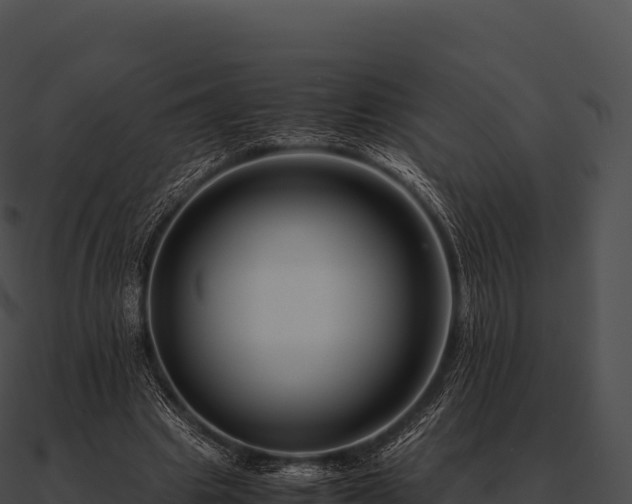 X0000090880441200708031034