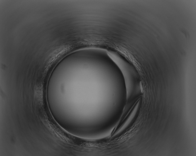X0000090880442200708031034