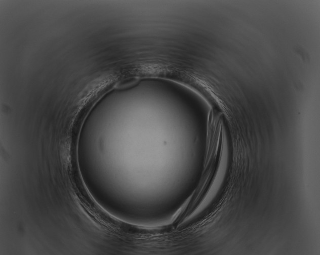 X0000090880443200708031034