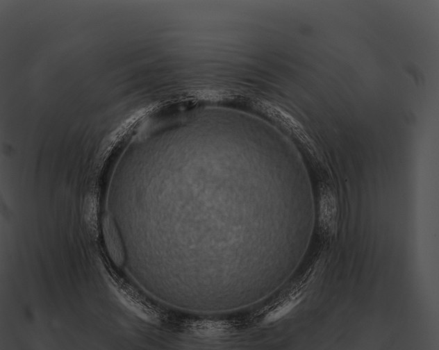 X0000090880444200708031034