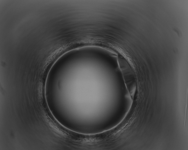 X0000090880445200708031034