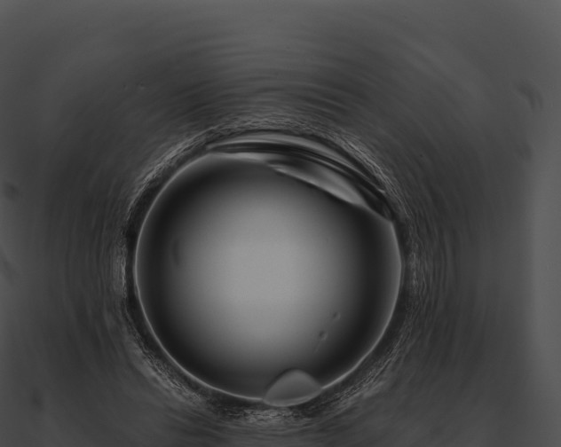 X0000090880446200708031034