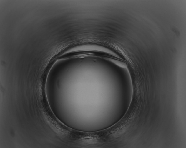 X0000090880447200708031034