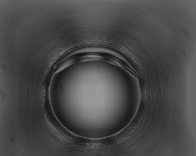 X0000090880448200708031034