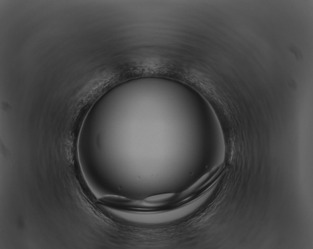 X0000090880450200708031034