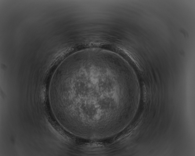 X0000090880451200708031034
