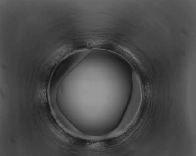 X0000090880452200708031034
