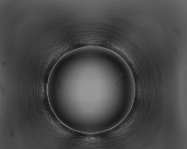 X0000090880453200708031034
