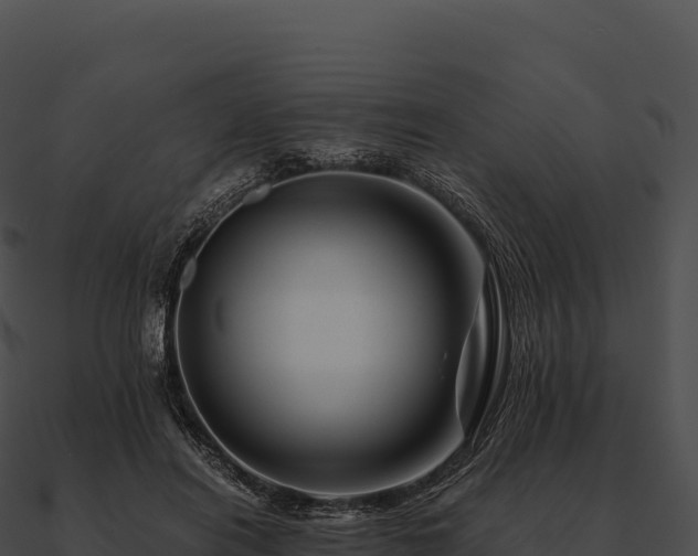 X0000090880454200708031035