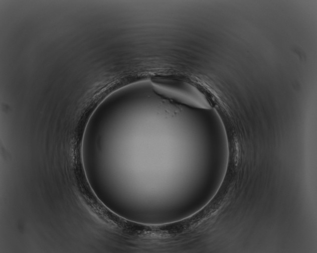 X0000090880455200708031035