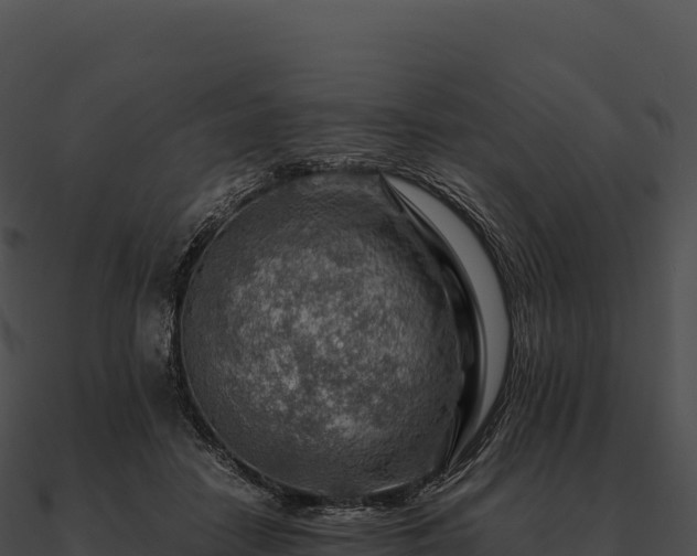 X0000090880458200708031035