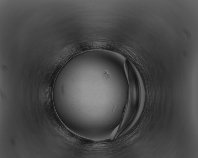 X0000090880462200708031035