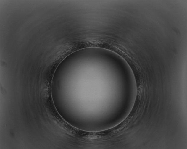 X0000090880464200708031035