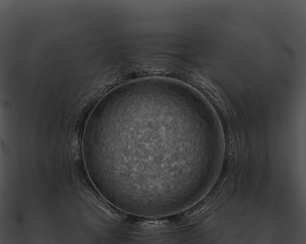 X0000090880465200708031035