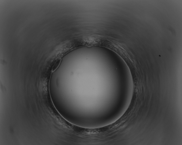 X0000090880466200708031035
