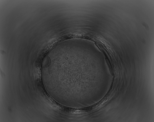 X0000090880467200708031035