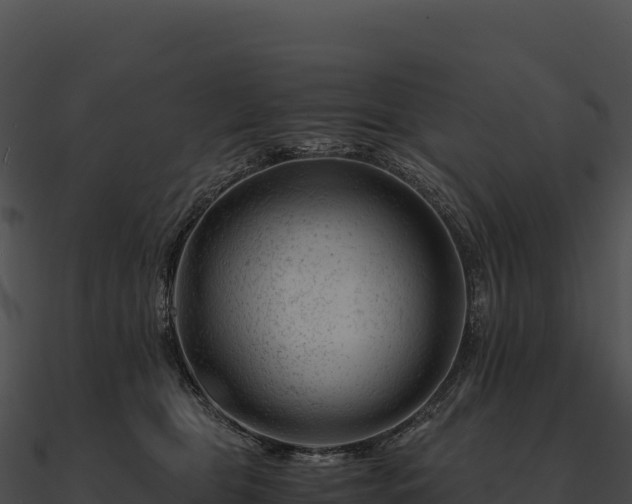 X0000090880469200708031035