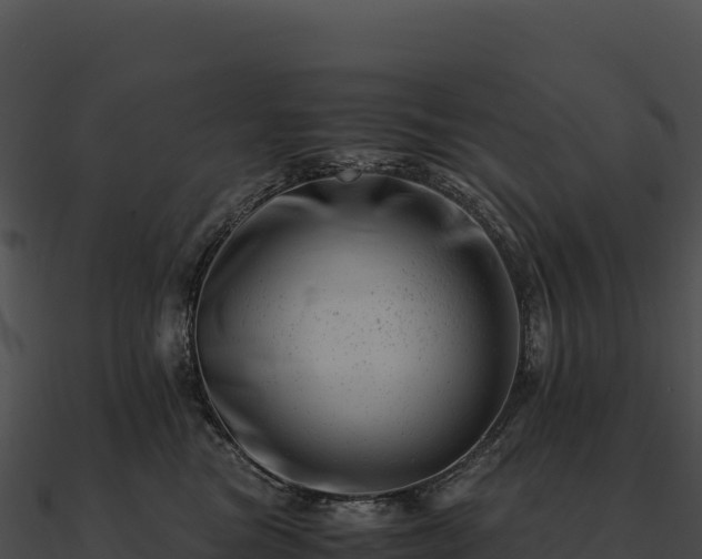 X0000090880473200708031035