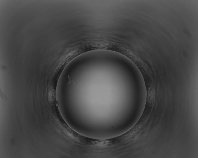 X0000090880474200708031035