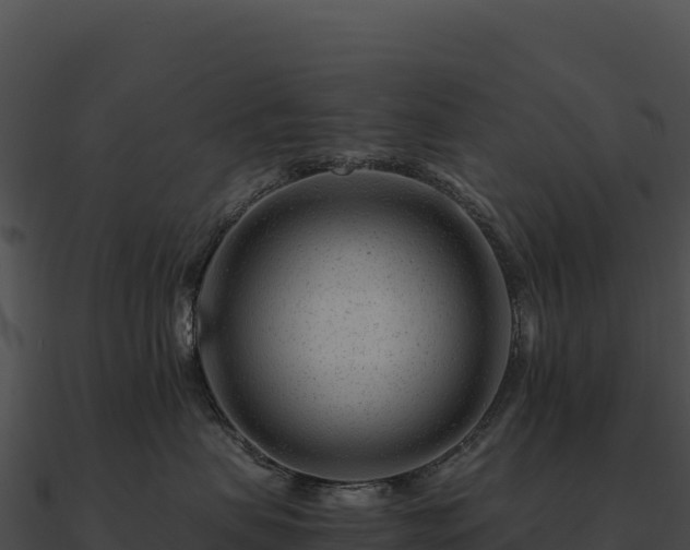 X0000090880479200708031035