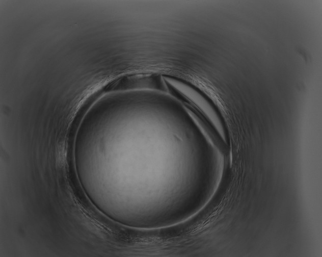 X0000090880483200708031034