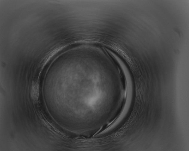 X0000090880484200708031034