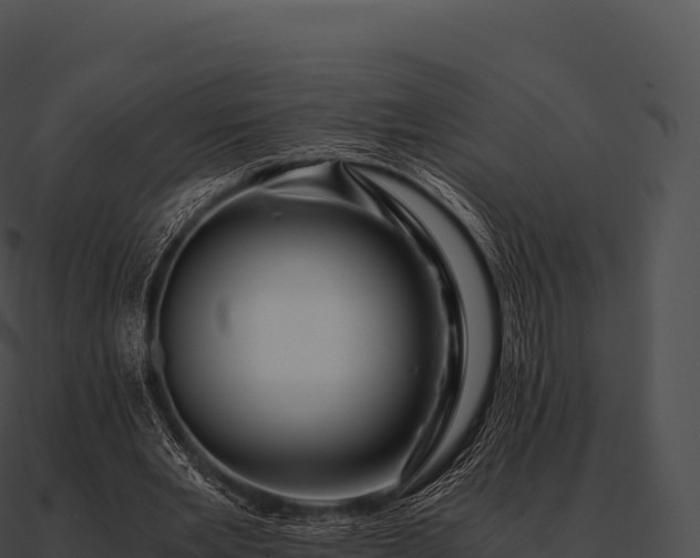 X0000090880485200708031034