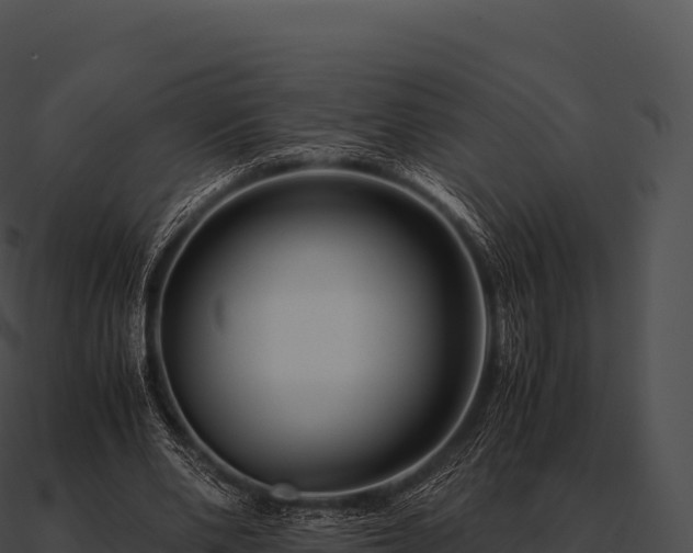 X0000090880486200708031034