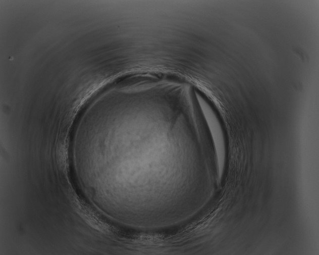 X0000090880487200708031034