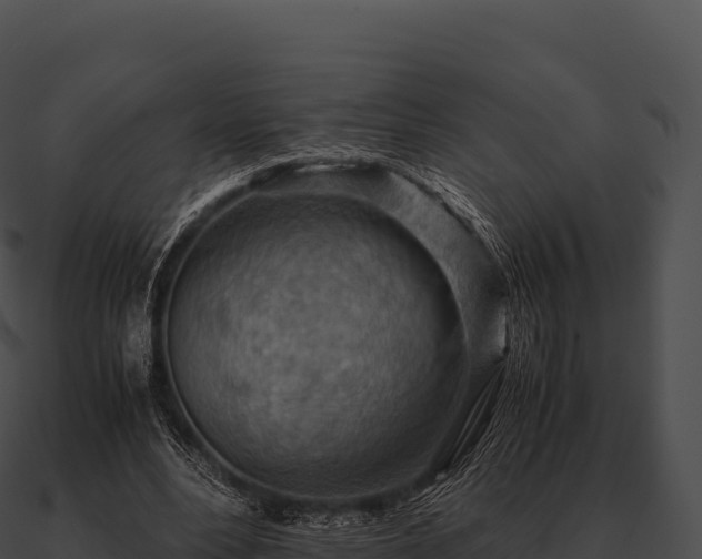 X0000090880488200708031034