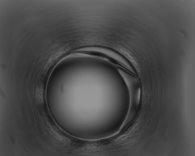 X0000090880489200708031034