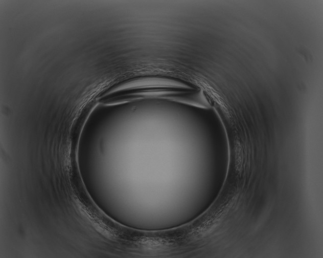 X0000090880490200708031034