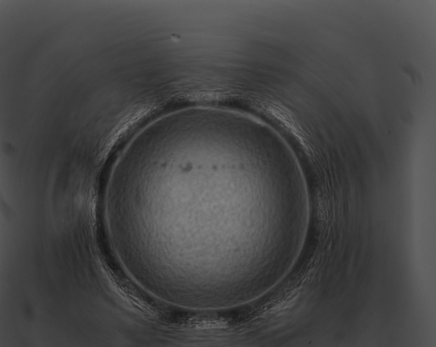 X0000090880491200708031034