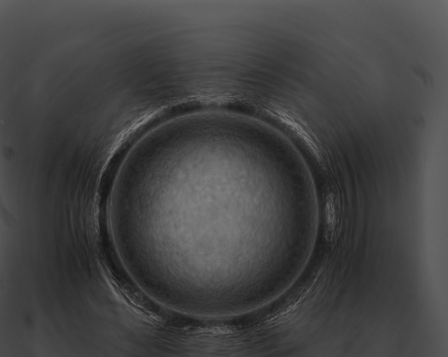 X0000090880492200708031034