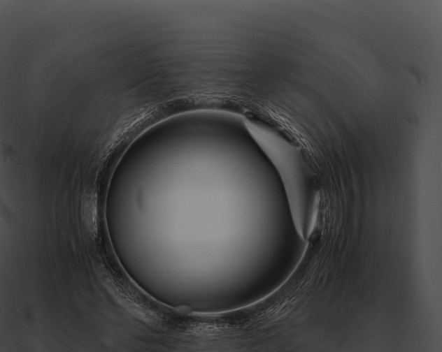 X0000090880494200708031034