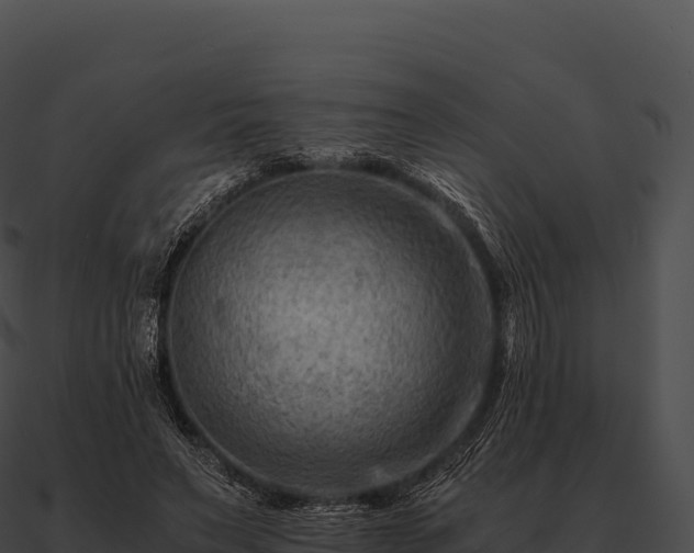 X0000090880495200708031034