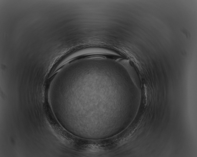 X0000090880496200708031034