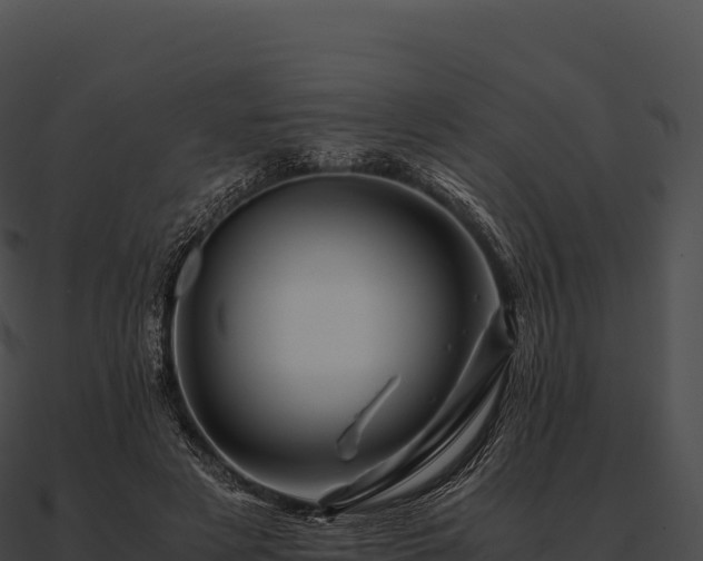 X0000090880497200708031034
