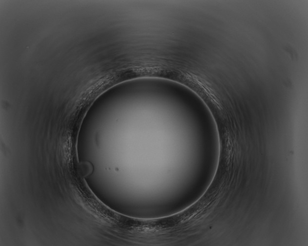 X0000090880498200708031034