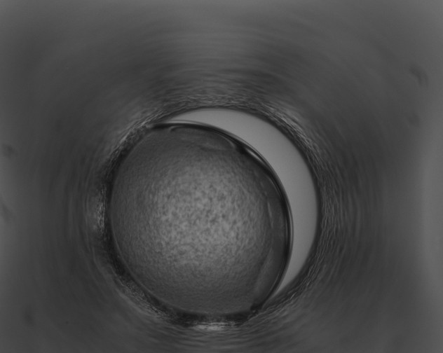 X0000090880499200708031034