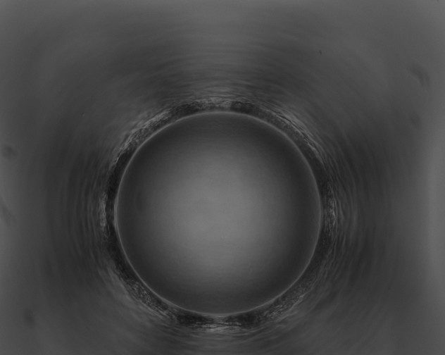 X0000090880504200708031034