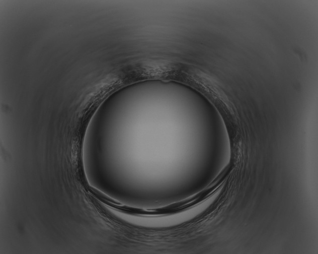X0000090880505200708031034