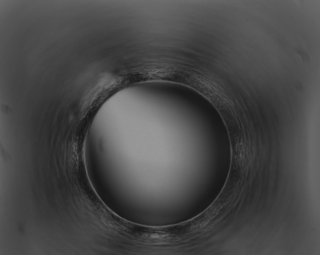 X0000090880506200708031034