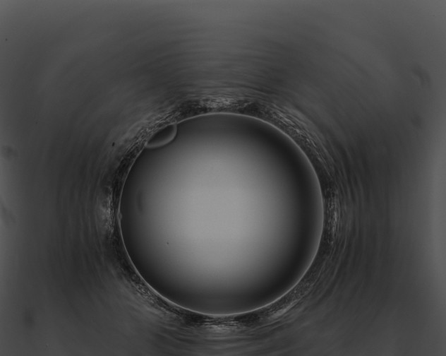 X0000090880510200708031034