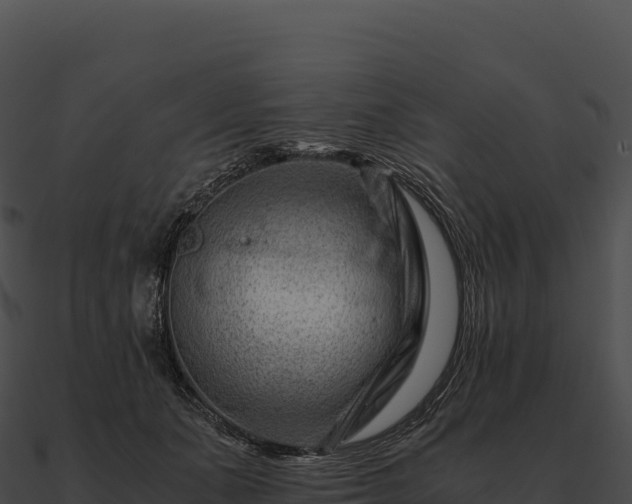X0000090880511200708031034